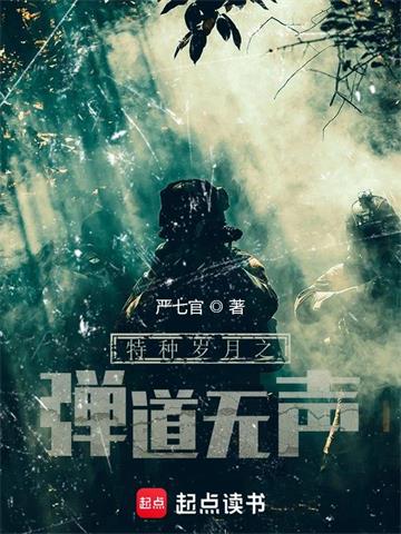 特种岁月之弹道无声