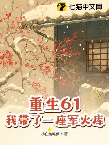 重生61，我带了一座军火库