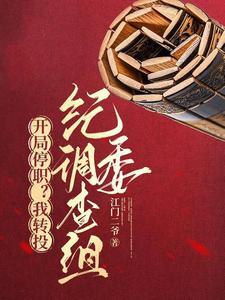 开局停职？我转投市纪委调查组