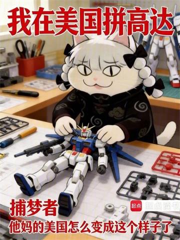 我在美国拼高达