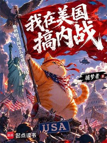 我在美国搞内战