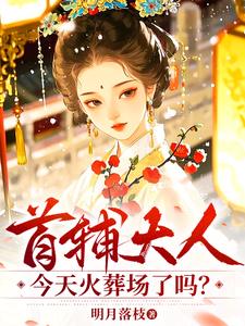 《首辅大人今天火葬场了吗？》（校对全本）作者：明月落枝【TXT】